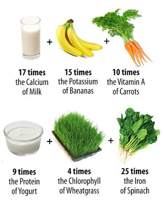 moringa oleifera nutrient comparison image showing 100 grams of moringa oleifera to have 17 times the calcium of milk, 15 times the potassium of bananas, 10 times the vitamin a of carrots, 9 times the protein of yogurt, 4 times the chlorophyll of wheatgrass, and 25 times the iron of spinach