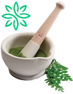 zija drink moringa mortar and pestle with shade dried moringa oleifera leaves