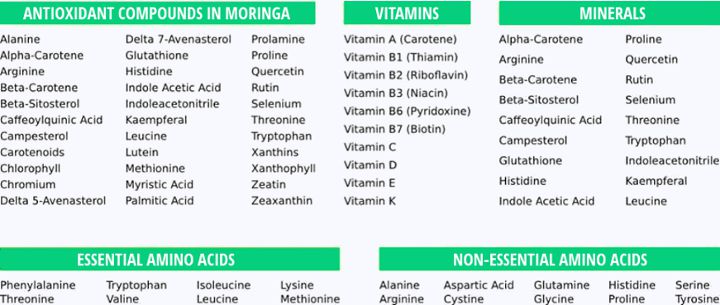 list of nutrients found in moringa oleifera