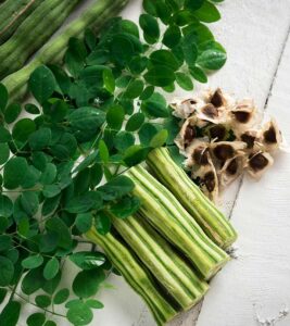 buy moringa oleifera leaves, seeds, and pods in Canada