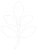 DrinkMoringa Canada Leaf Logo